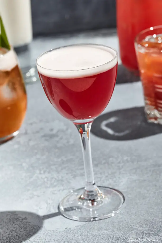 Sloe Gin Fizz Cocktail Recipe — THE SHAKEN COCKTAIL