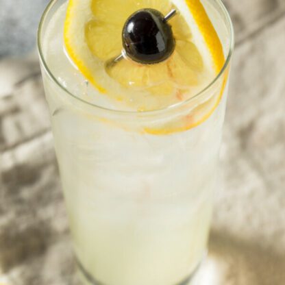Tom Collins Gin Lemon Juice Simple Syrup Soda Water Iced Cocktail