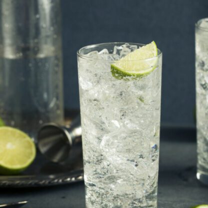 Gin And Tonic Cocktail With Gin And Tonic Water