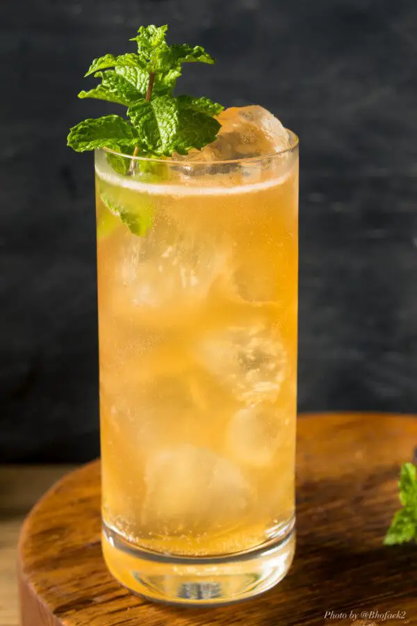 Suffering Bastard Gin Brandy Lime Juice Bitters Ginger Beer Cocktail