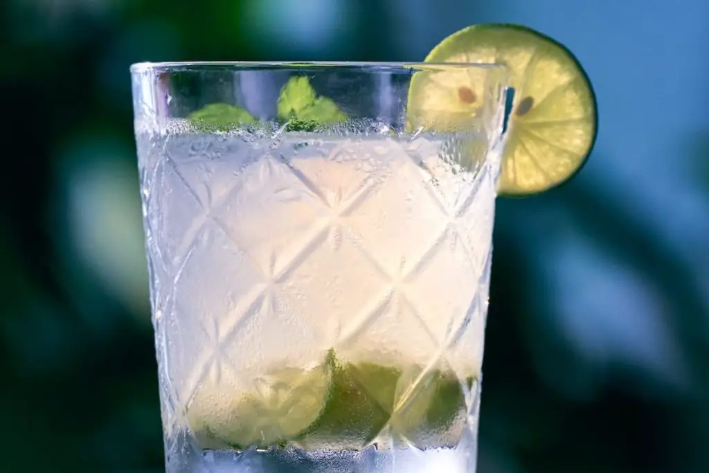 The 8 Best No &Amp; Low Sugar Cocktails &Mdash; The Shaken Cocktail Gin Rickey London Dry Gin Lime Juice Soda Water