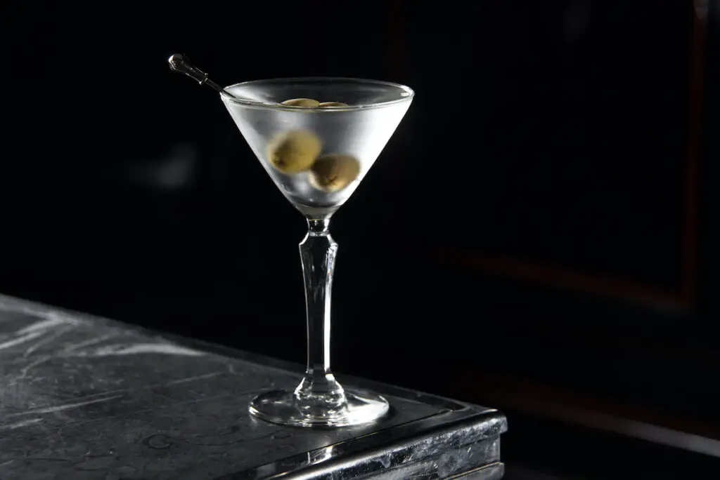 Different Types Of Cocktail Bitters And How To Use Them &Mdash; The Shaken Cocktail Martini Cocktail