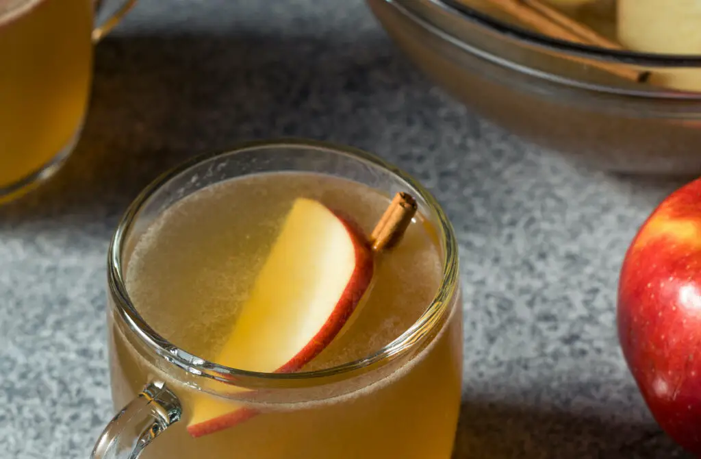 Get In The Holiday Spirit With These 10 Festive Punch Recipes &Mdash; The Shaken Cocktail Wassail Holiday Punch