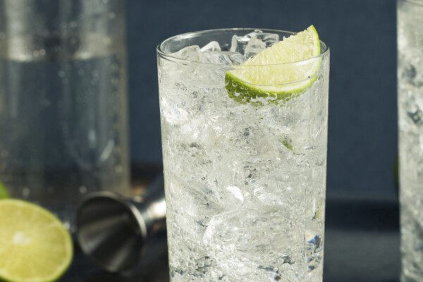 9 Gin Cocktails, Its History And How To Drink It &Mdash; The Shaken Cocktail Gin And Tonic Cocktail